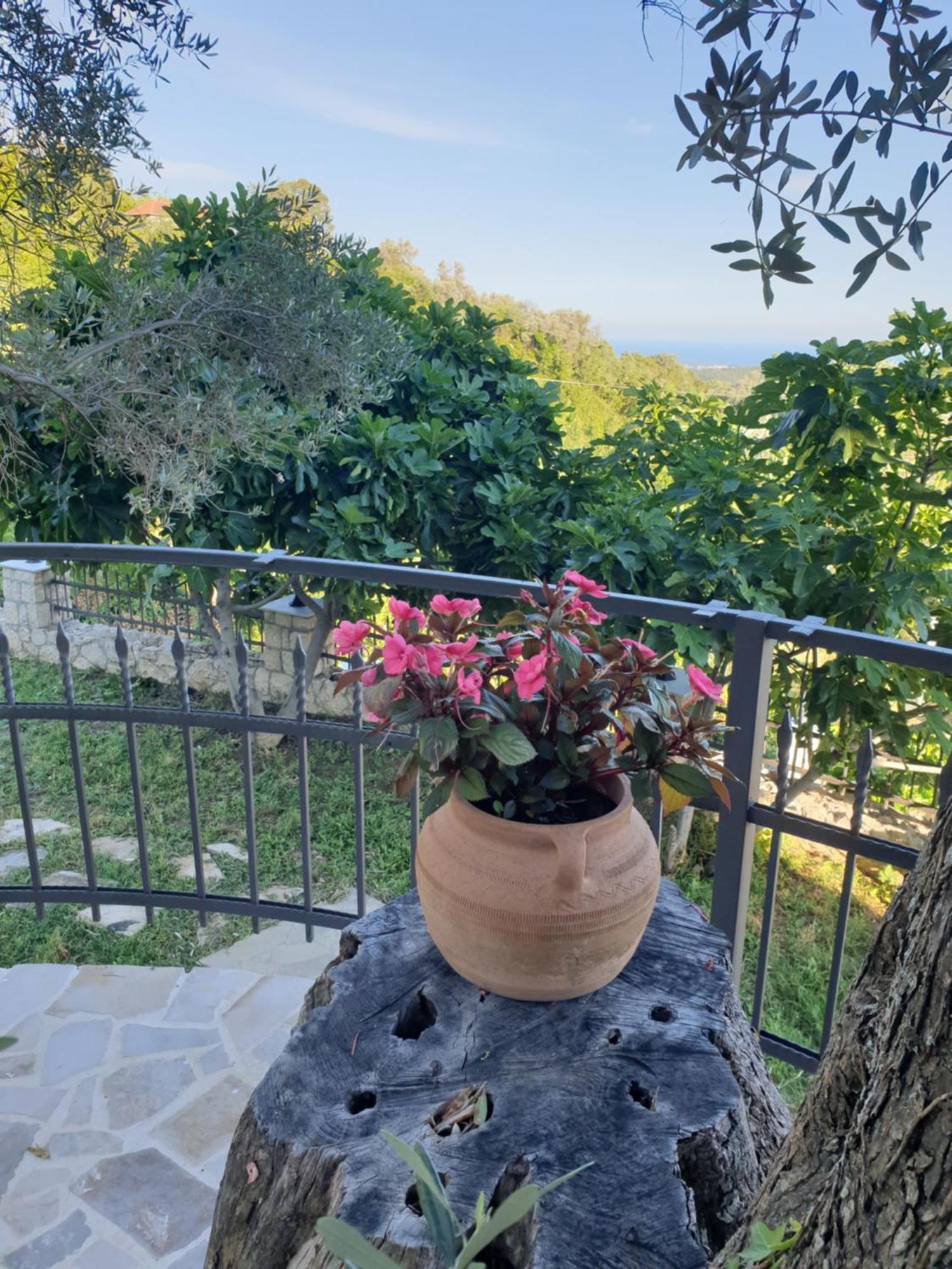 Rustic Villas Barlovic Ulcinj Kültér fotó